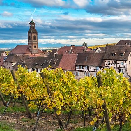 Gite "Le Piemont Des Vosges " Stotzheim Екстериор снимка