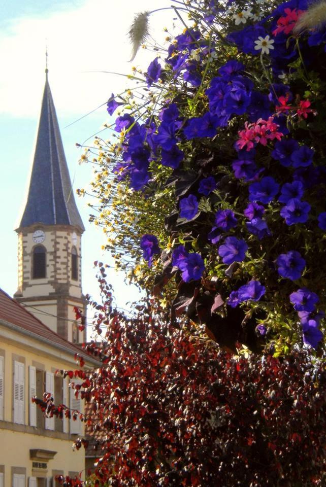 Gite "Le Piemont Des Vosges " Stotzheim Екстериор снимка