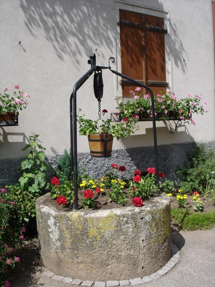 Gite "Le Piemont Des Vosges " Stotzheim Екстериор снимка