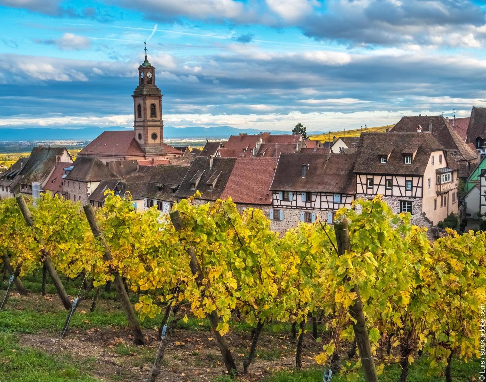 Gite "Le Piemont Des Vosges " Stotzheim Екстериор снимка