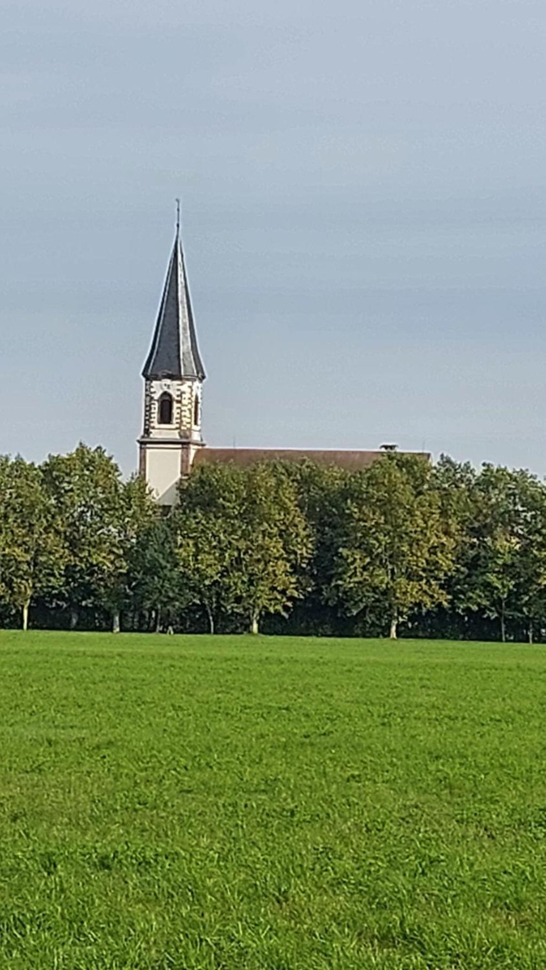 Gite "Le Piemont Des Vosges " Stotzheim Екстериор снимка