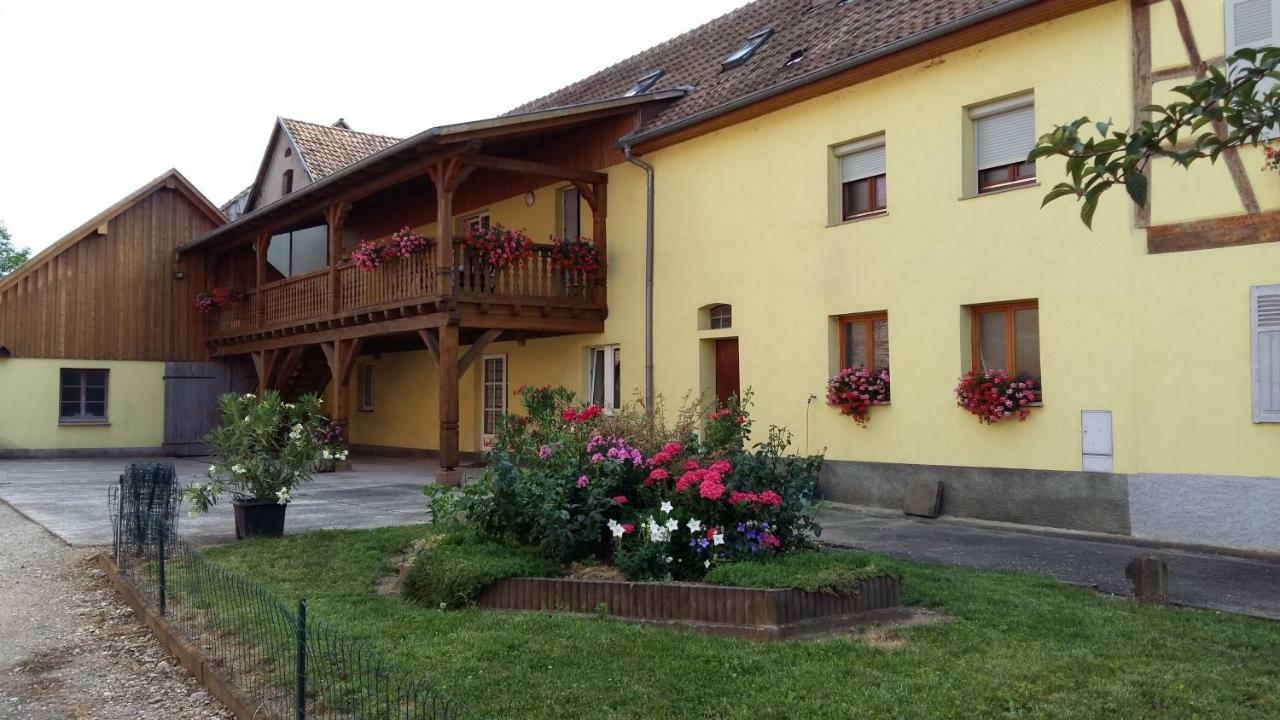 Gite "Le Piemont Des Vosges " Stotzheim Екстериор снимка