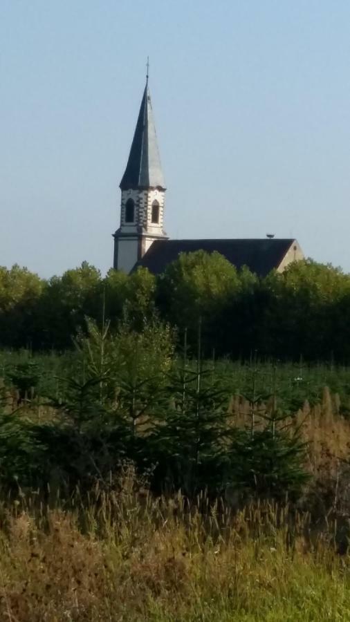 Gite "Le Piemont Des Vosges " Stotzheim Екстериор снимка